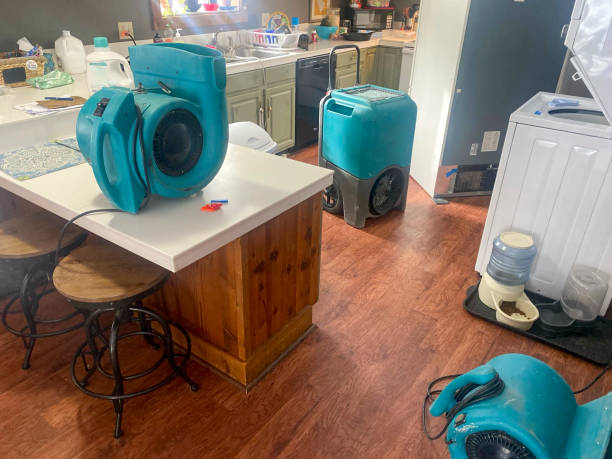 Best Water damage restoration insurance claims  in Little River Academy, TX