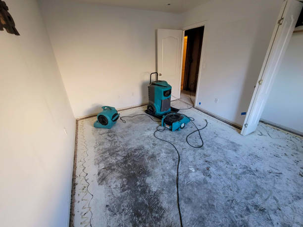 Best 24/7 water damage repair  in Little River Academy, TX