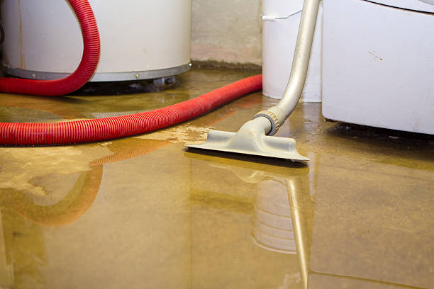 Best Flooded house restoration  in Little River Academy, TX