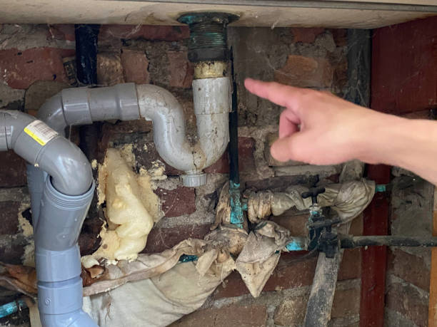 Best Fire Damage Restoration  in Little River Academy, TX