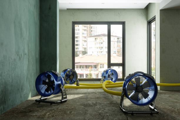 Best Flood restoration services  in Little River Academy, TX